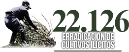 Efectividad Erradicación de Cultivos Ilícitos Erradicación de Cultivos Ilícitos