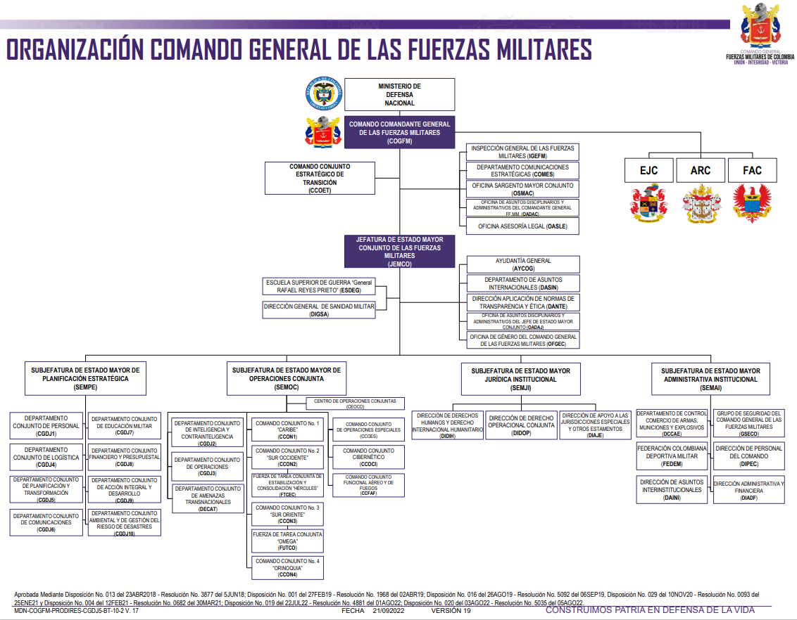 Estructura organizacional COGFM