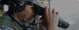 Inspección General de las Fuerzas Militares - IGEFM