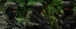 Comando Conjunto de Operaciones Especiales - CCOES