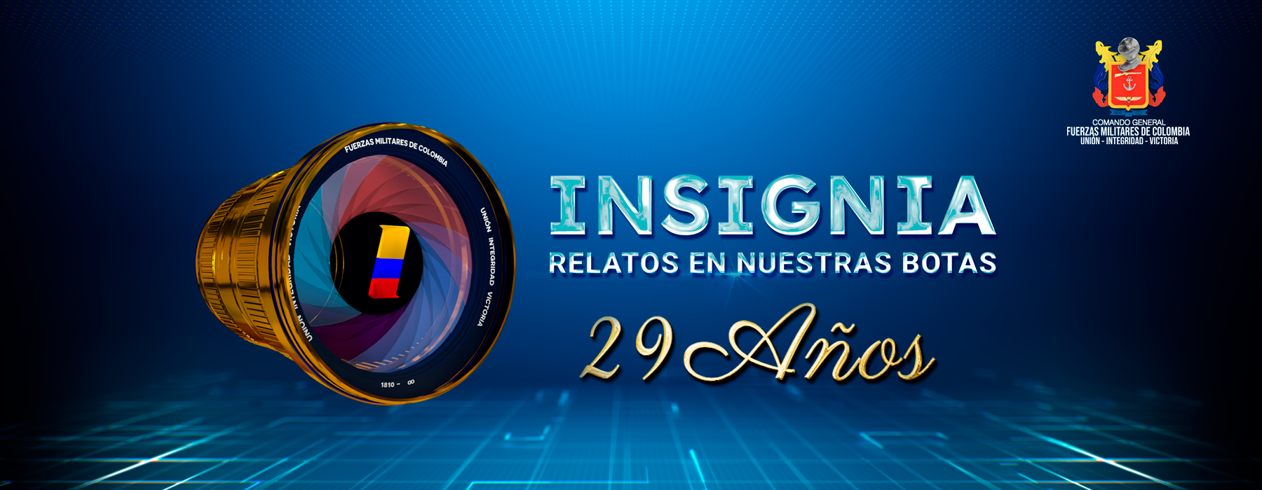 
            INSIGNIA 29 AÑOS
      