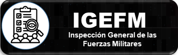 IGEFM