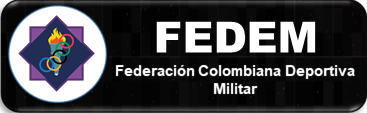FEDEM