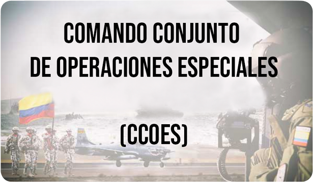 Comando Conjunto de Operaciones Especiales