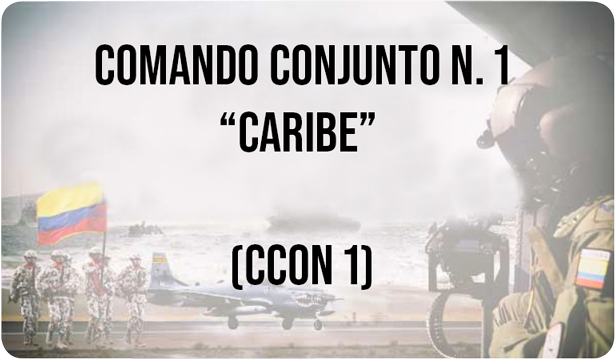 Comando Conjunto No 1