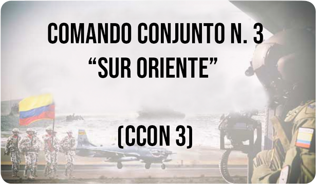 Comando Conjunto No 3