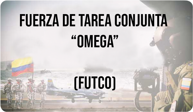 Fuerza de Tarea Omega