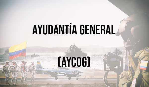 Ayudantía General