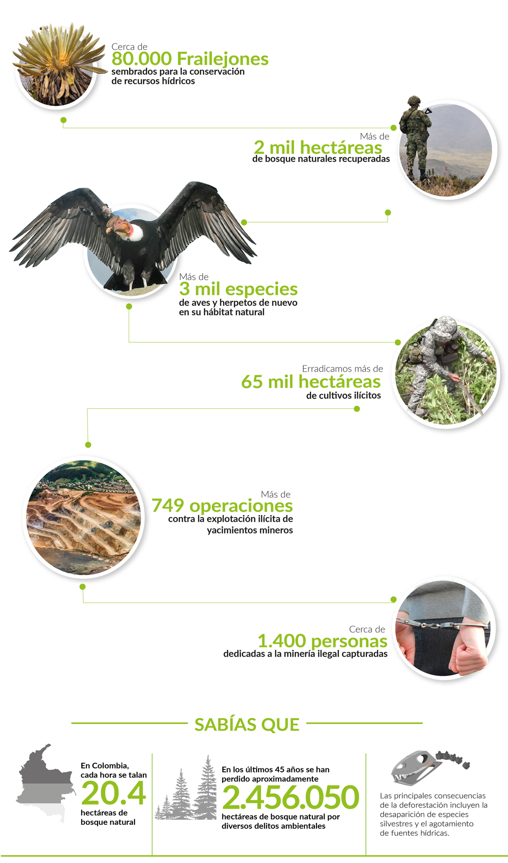 Infografía Custodios del Medio Ambiente Infografía Custodios del Medio Ambiente