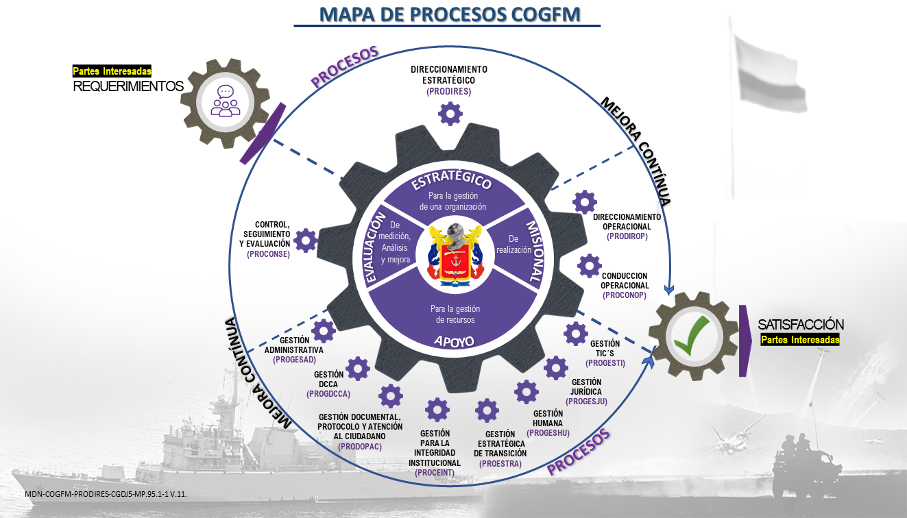 Mapa de Procesos del COGFM