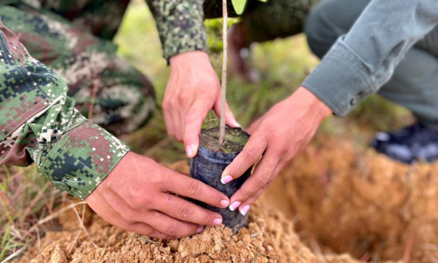 Misión Departamento Conjunto de Planificación y Transformación Fuerzas Militares