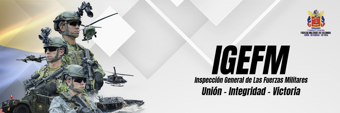 Inspección General de las Fuerzas Militares - IGEFM
