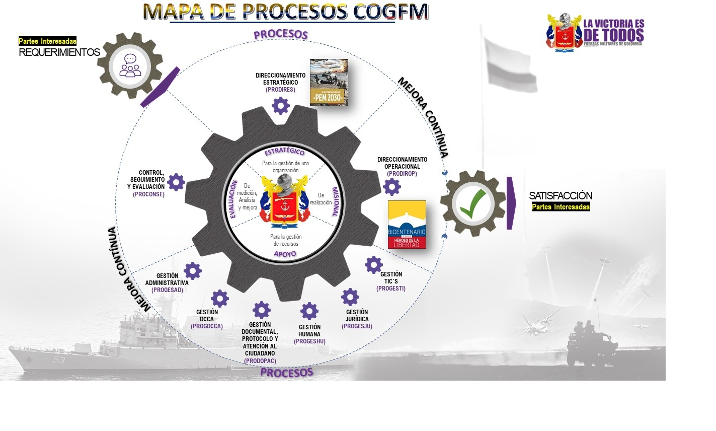 Mapa de Procesos del COGFM
