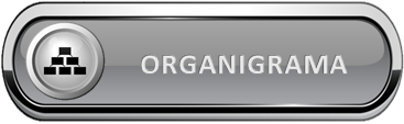 ORGANIGRAMA