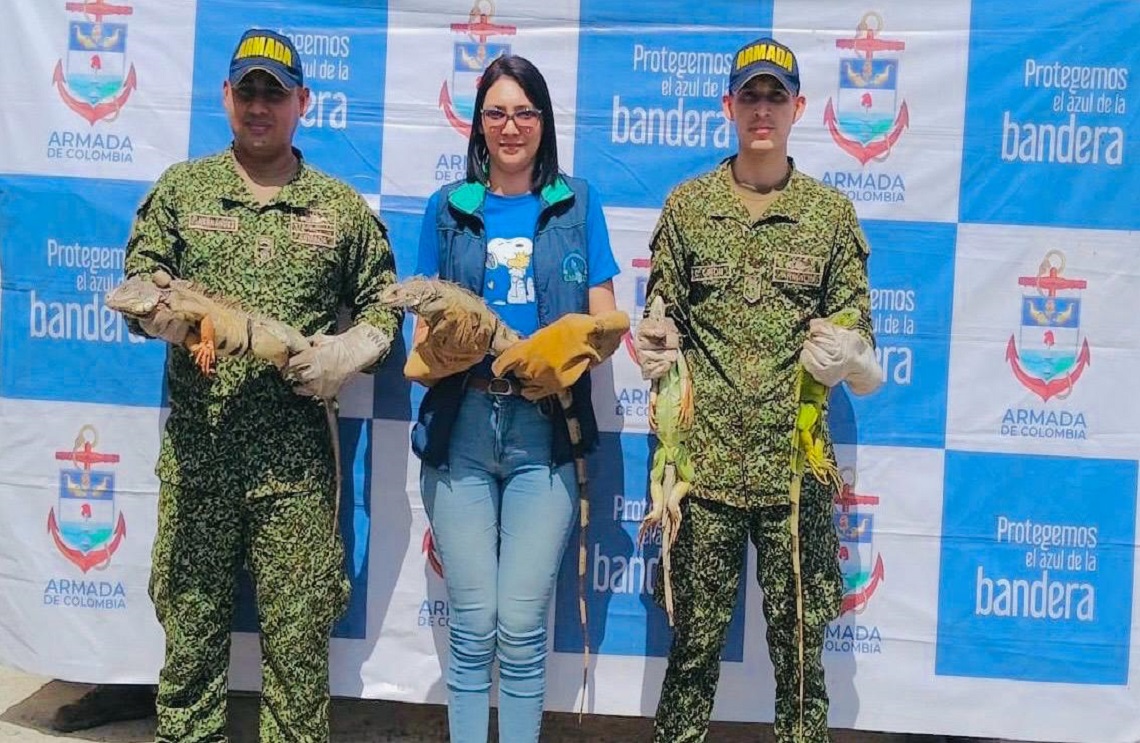 Contundencia contra los delitos medioambientales en el Caribe colombiano