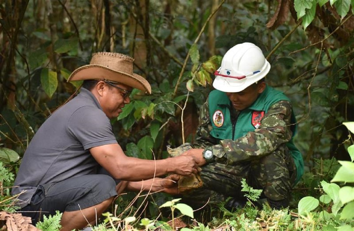 Ejército Nacional lidera siembra de 2.000 plántulas en Mitú, Vaupés