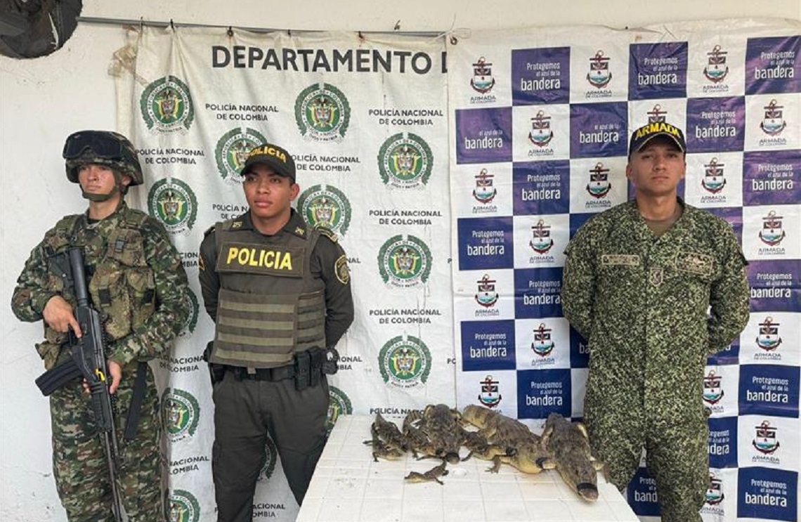 Recuperadas más de 75 especies de fauna silvestre en la región Caribe