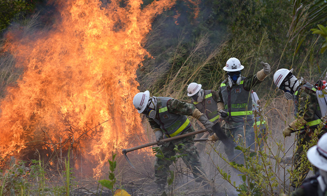 Departamento Conjunto Ambiental y de Gestión del Riesgo de Desastres