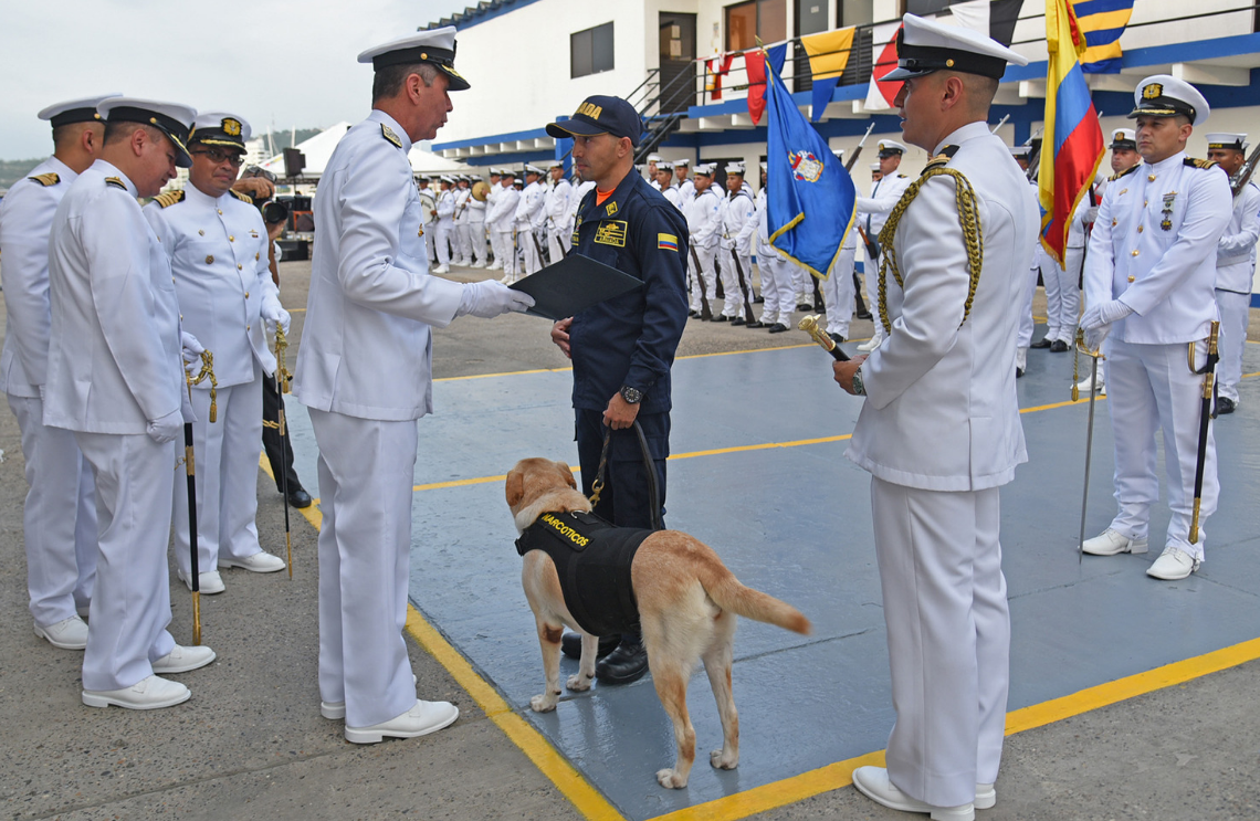 heroe-de-cuatro-patas-armada