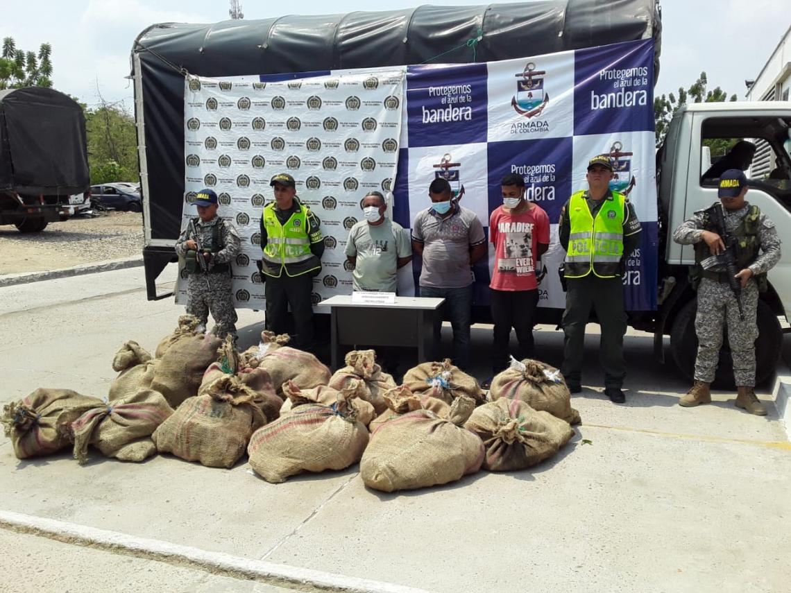 Armada de Colombia recupera tortugas hicoteas en Bolívar