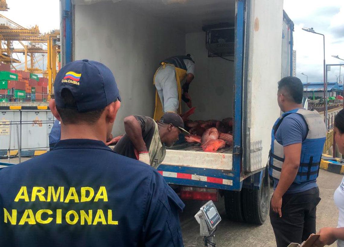 Armada de Colombia incauta pesca ilegal en el Parque Nacional Natural Uramba