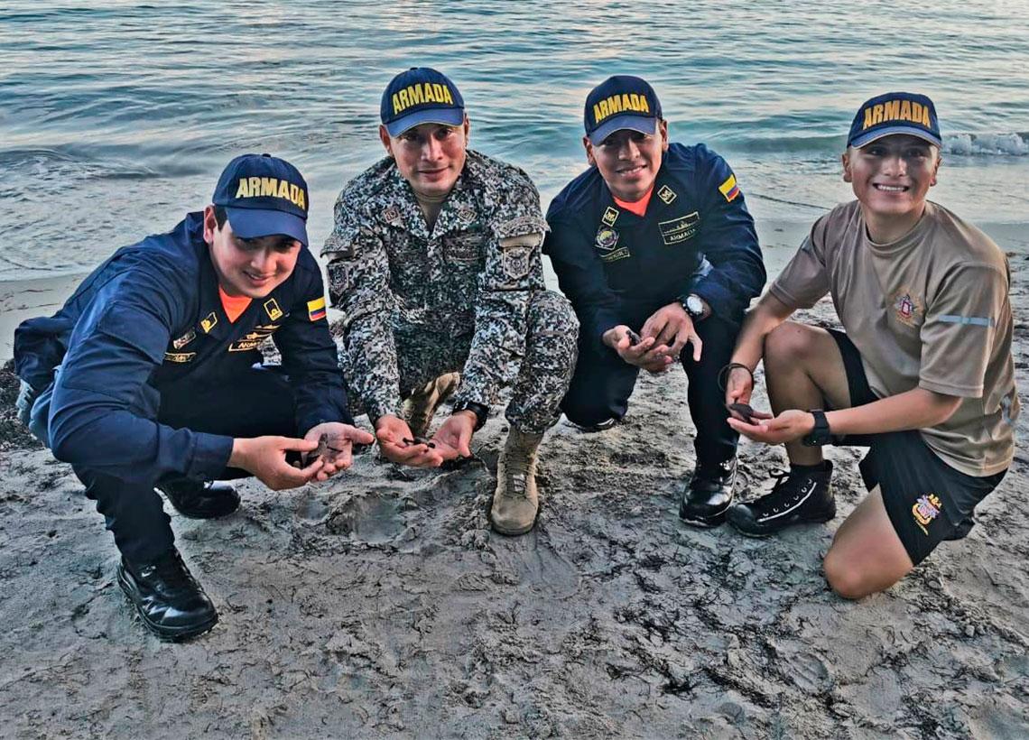 82 tortugas marinas vuelven al mar en Providencia