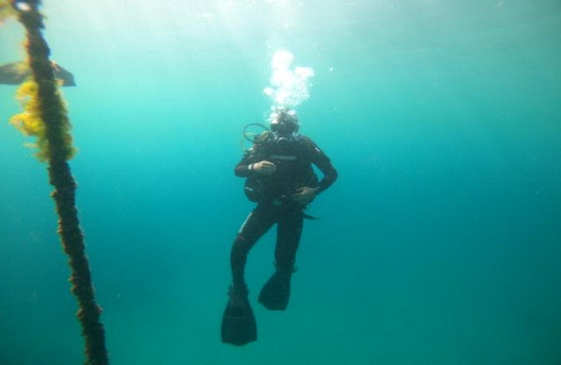Primer diplomado de investigación subacuática en Colombia