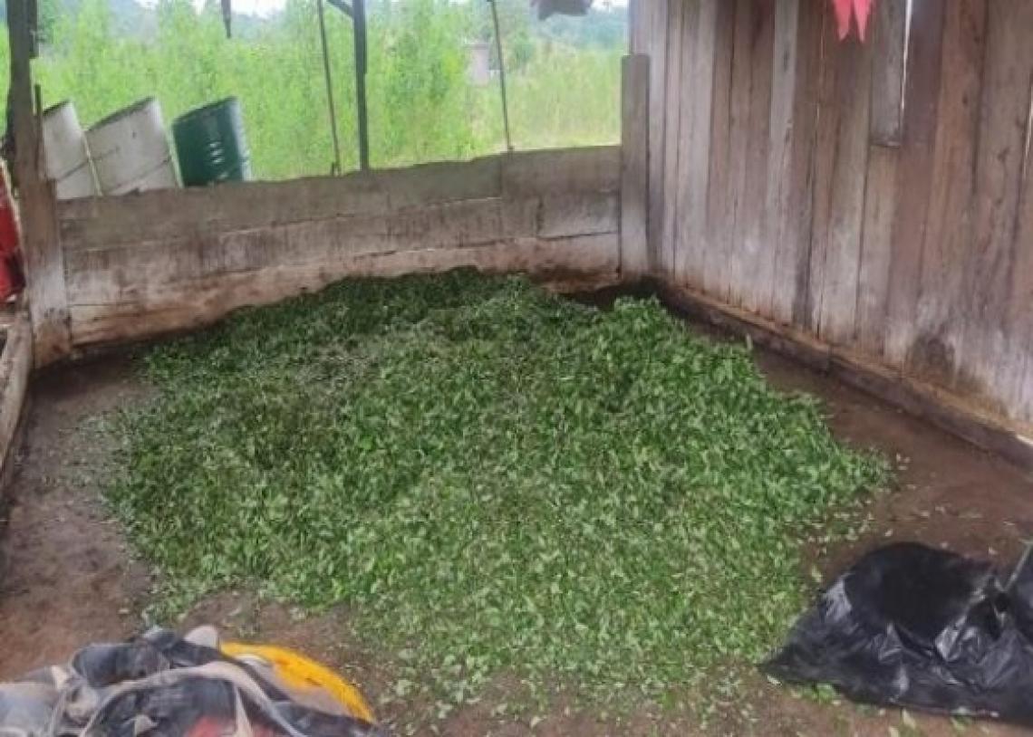 Fuerzas Militares neutraliza 36 laboratorios para el procesamiento de pasta base de coca en la Amazonía