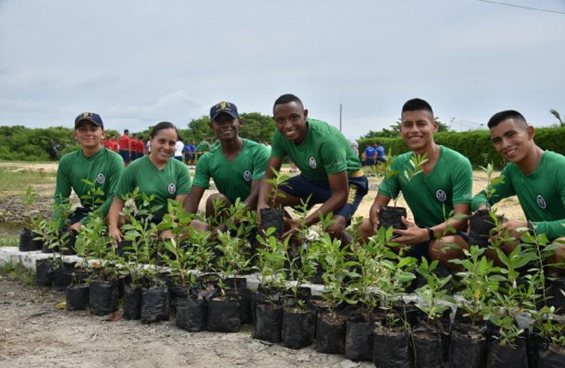 Armada de Colombia apoya con la siembra de 200 plántulas en la Isla de Manzanillo