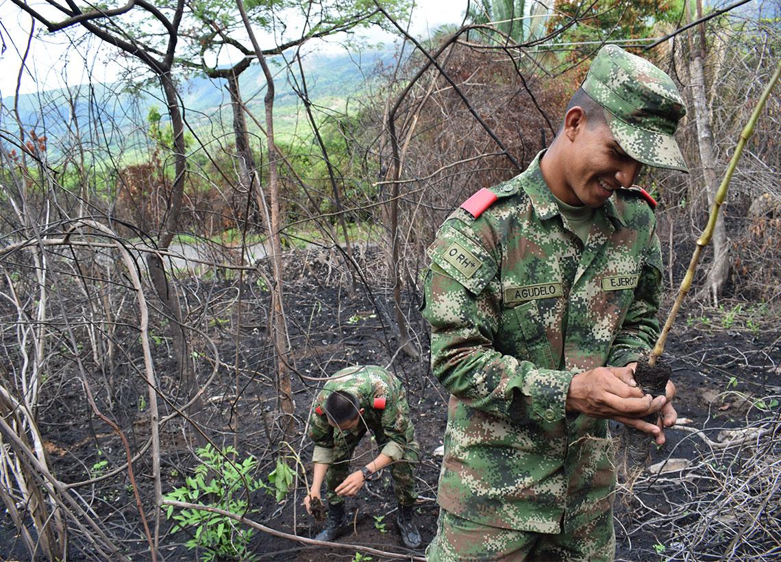 La Escuela de Soldados Profesionales reforesta área afectada por incendio forestal 