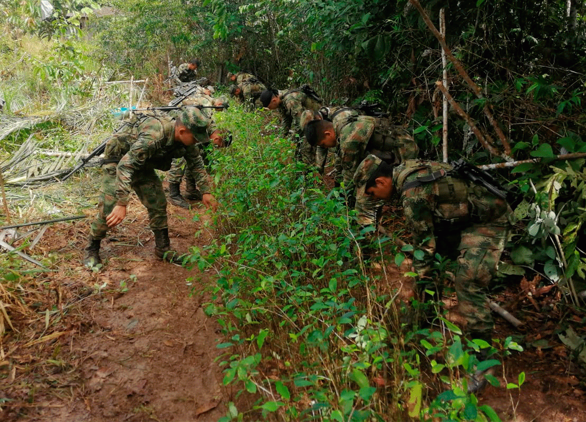 Ejército Nacional evitó la tala indiscriminada de bosque nativo y capturó a tres personas