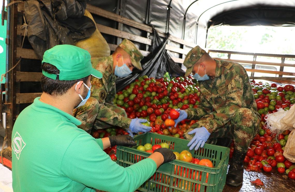 Ejército Nacional continúa apoyando a los agricultores de Santander 