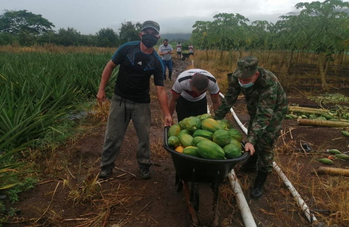 Ejército continúa brindando apoyo a campesinos del Huila en tiempos de pandemia