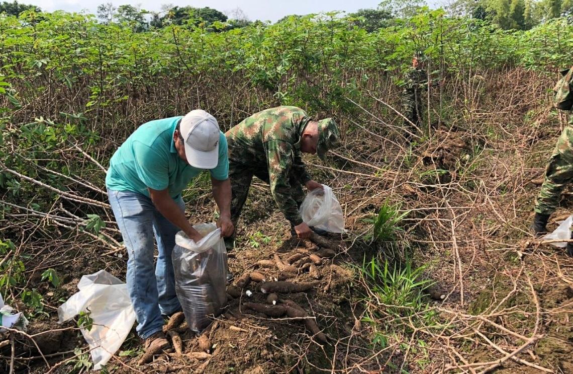 Ejército Nacional de la mano con la comunidad del Meta