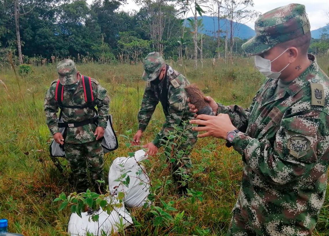 Ejército Nacional siembra 1.000 árboles en el medio Putumayo