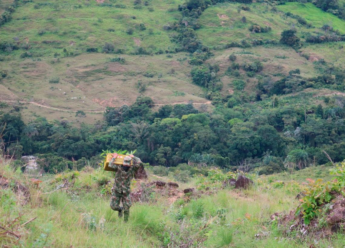 Ejército Nacional y su programa Fe En Colombia han sembrado más de 5000 árboles