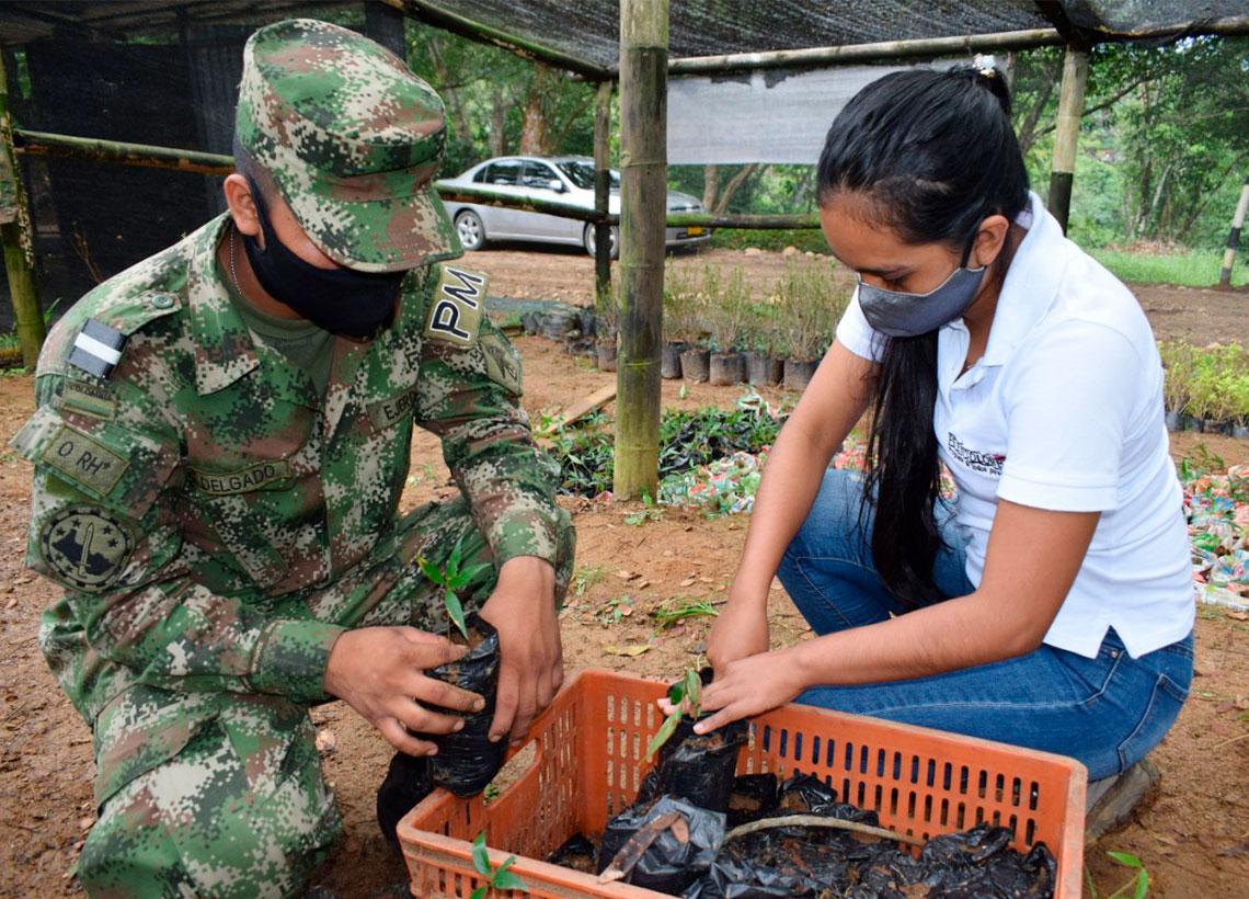 Ejército Nacional fortalece viveros para realizar jornadas de reforestación en el Caquetá