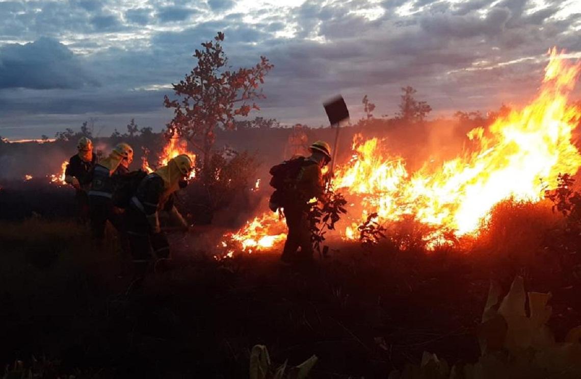 Más de 40 soldados apoyan en labores de extinción y control incendio en el Parque Natural El Tuparro, en Vichada