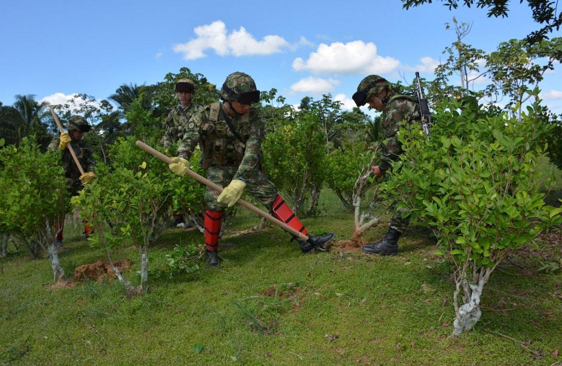En tiempo récord Ejército Nacional ha erradicado más de 200 hectáreas de cultivos ilícitos en Guaviare