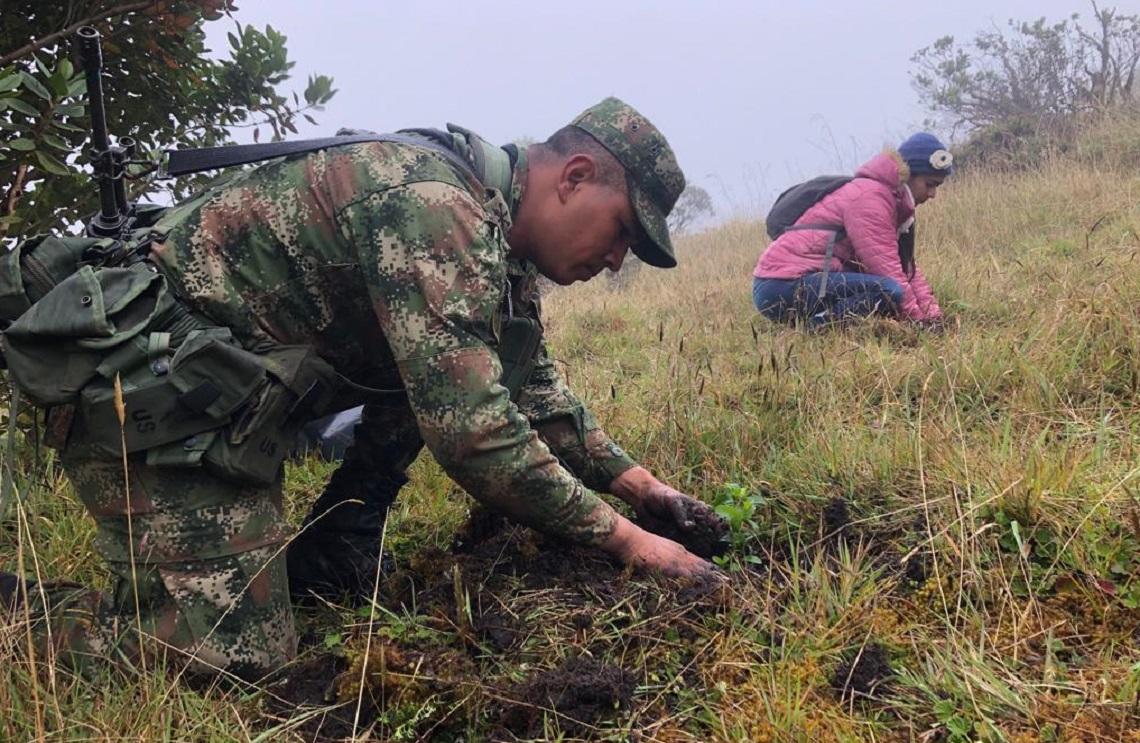 Ejército Nacional ha apoyado reforestación de más de 2.000 hectáreas del páramo de Ocetá, en Boyacá