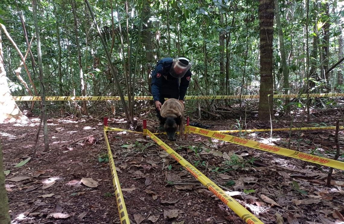 Desminado manual, mecánico y canino, tres técnicas que emplean a la vez los Ingenieros Militares en el Meta