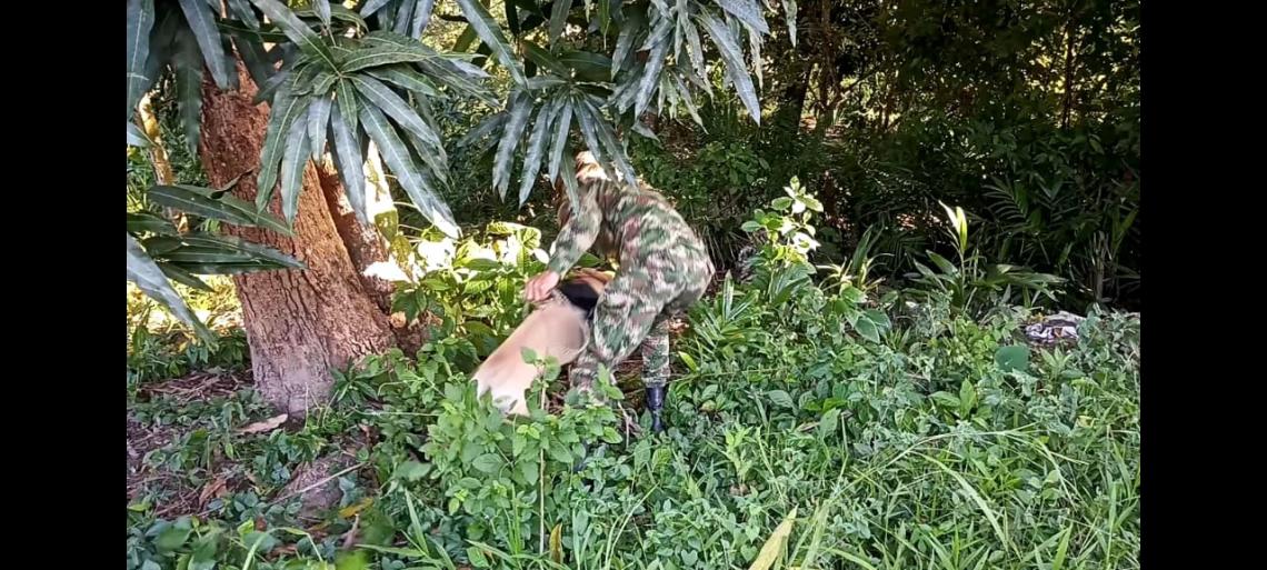 Ejército Nacional destruye artefactos explosivos cerca de un polideportivo en Arauca 