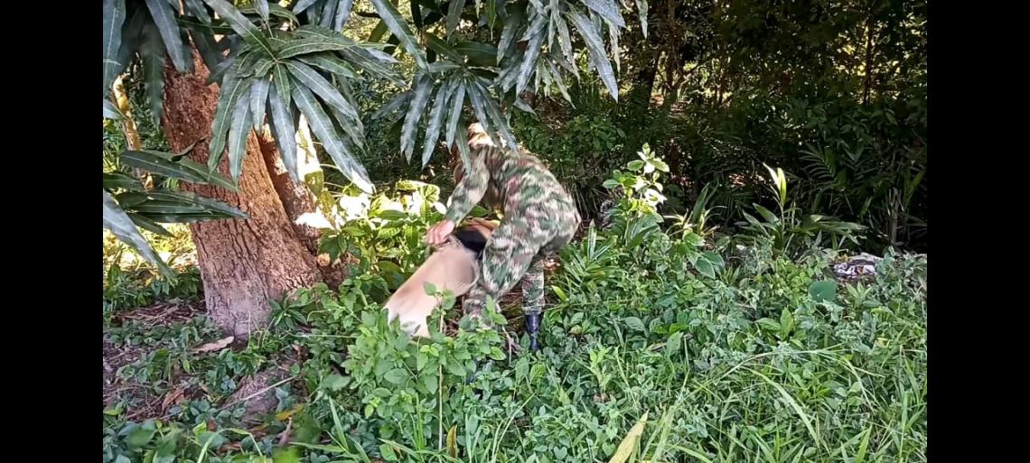 Ejército Nacional destruye artefactos explosivos cerca de un polideportivo en Arauca
