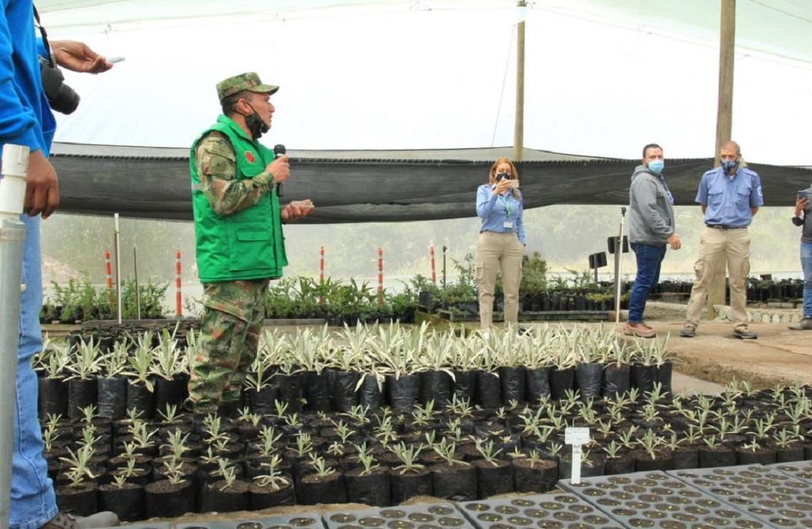 Ejército Nacional se une a proyecto de siembra masiva en el Páramo de Chingaza