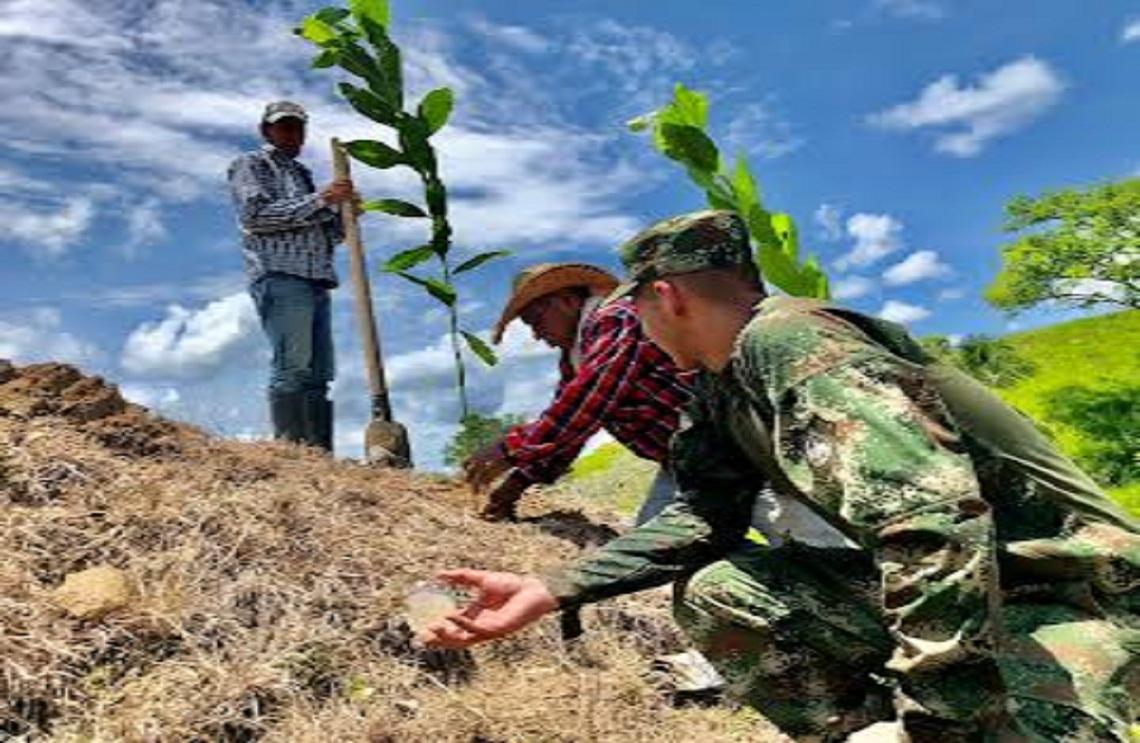 Ejército Nacional sembró 5.000 árboles en zona rural de Cimitarra, Santander