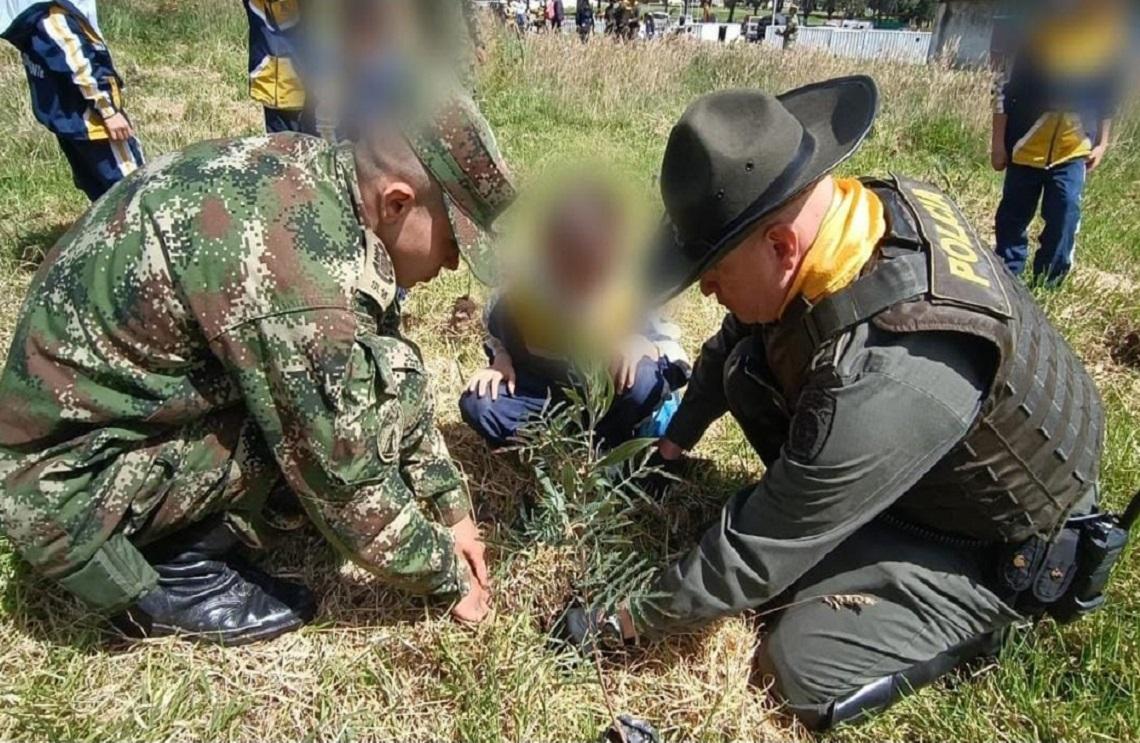 Ejército Nacional y comunidad siembran 600 árboles en Pamplona, Norte de Santander