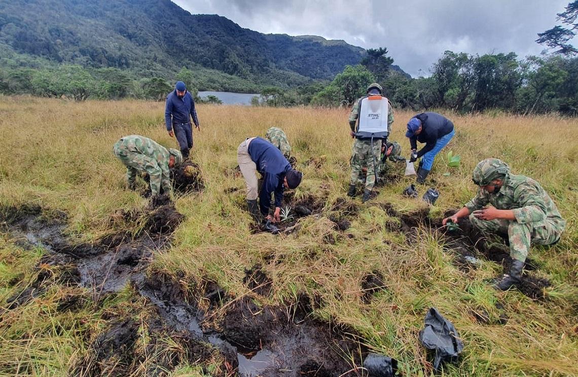 Ejército realizó gran jornada de siembra en el Parque Nacional Natural Chingaza