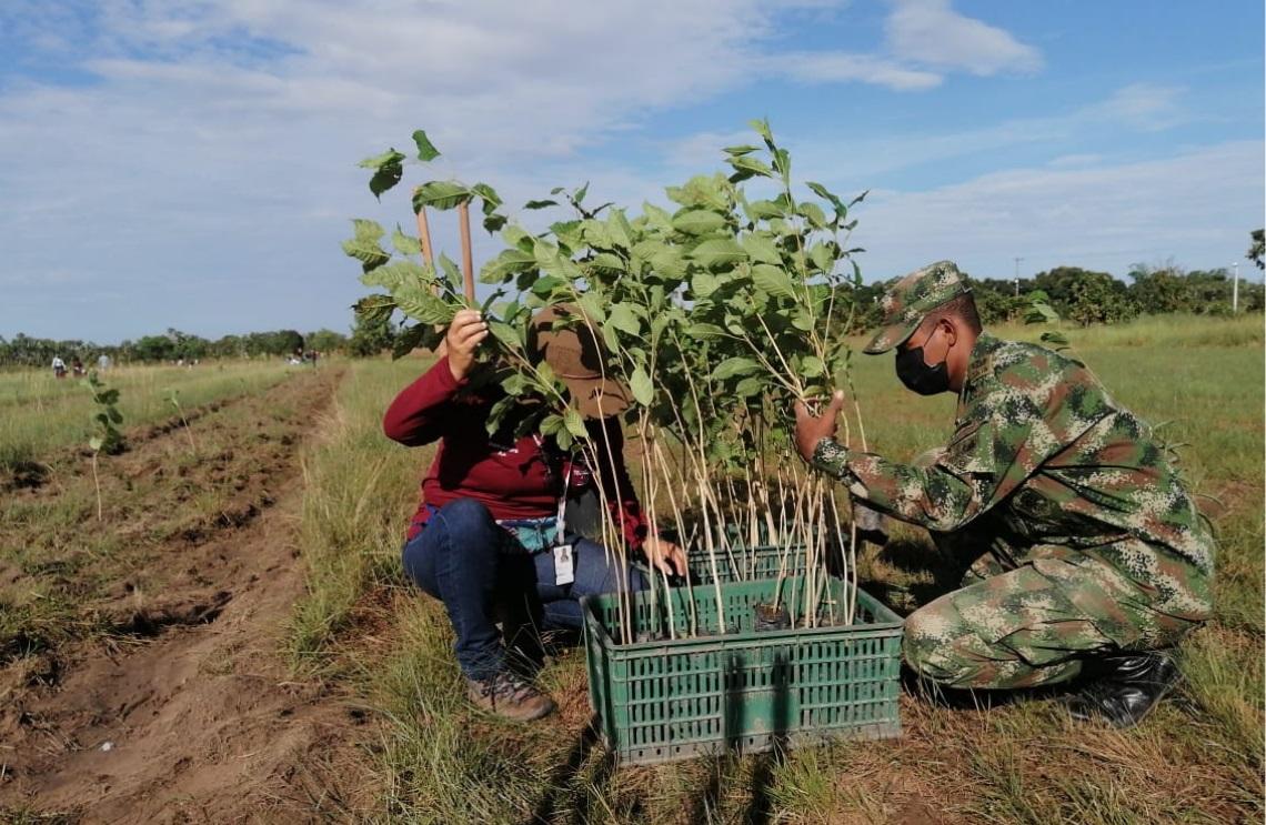 Ejército Nacional siembra más de 600 árboles en Puerto Carreño, Vichada
