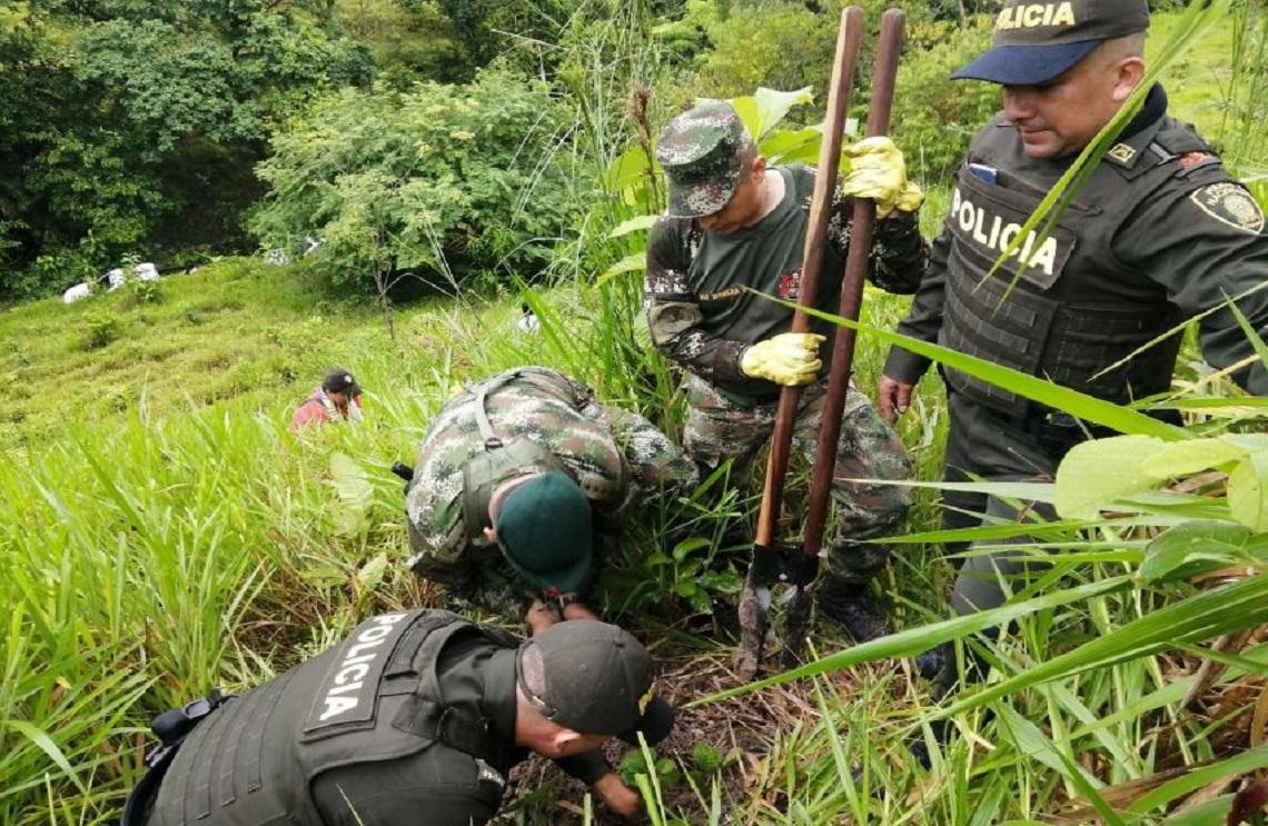 Ejército Nacional y la institucionalidad siembran más de 400 especies nativas en  Simití, Bolívar