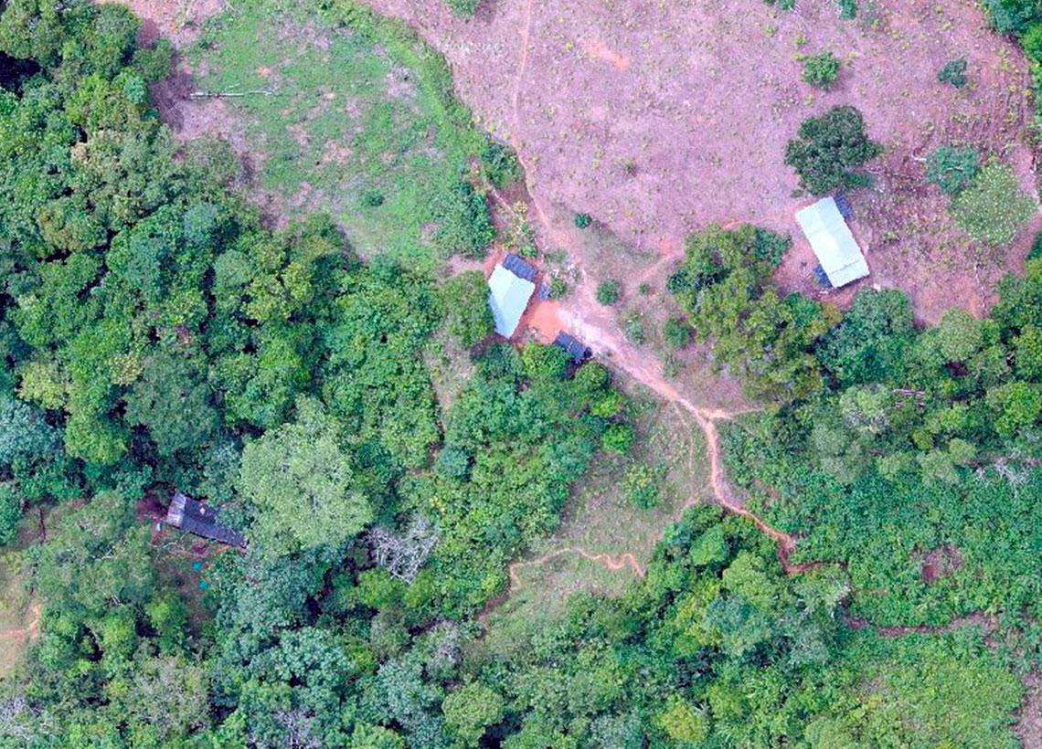 Ejército Nacional neutraliza, en Antioquia, 14 laboratorios del ELN para procesar pasta base de coca